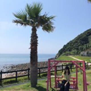shibarin0226