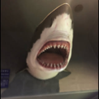 KaoRoteKA