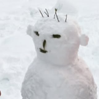 tom
