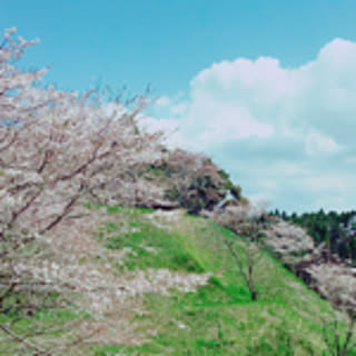 haru.s2r