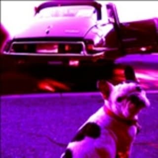 AT_DS