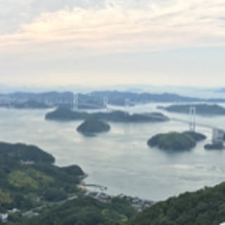 koisuru_kamome