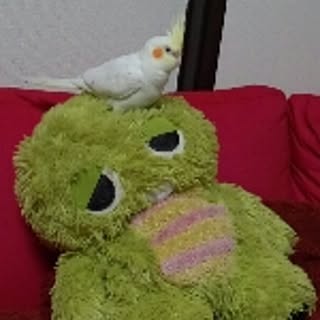 yoshimix