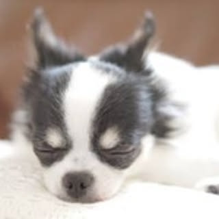 Keiko