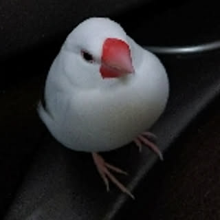 ekotan.dayo