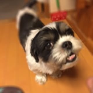 genki