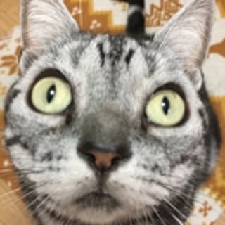mirurun