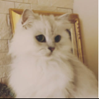 maron.maronie