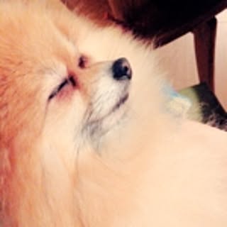 pypy_t