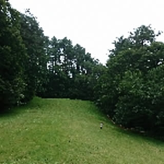 s-r