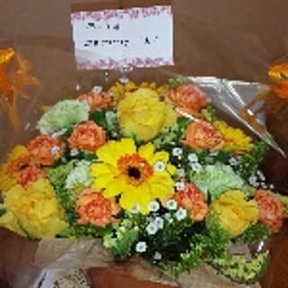 masa0414