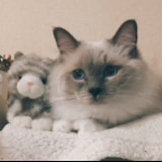 ma