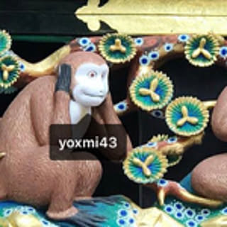 yoxmi43