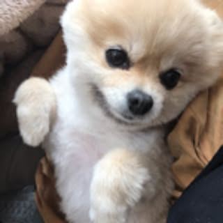meee