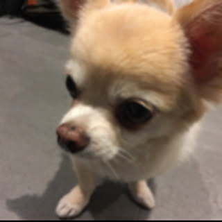 fuuta