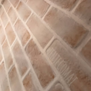 TENTECOMAI