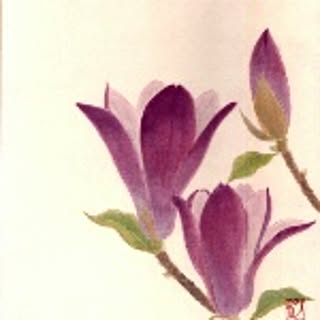 mokuren