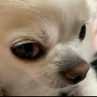 Sora_daisuki