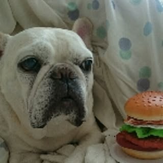 ogaty