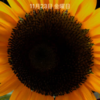 4900
