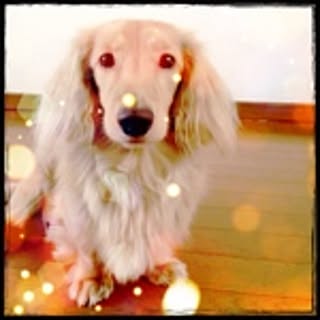 keiko
