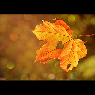 orange0823