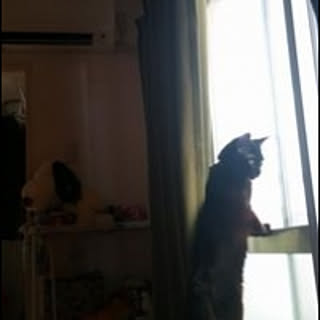 maru