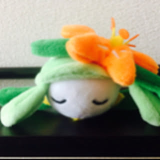 kiityo