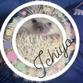 ICHIYO