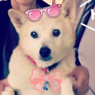 chiasaki
