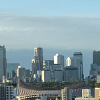 yasu
