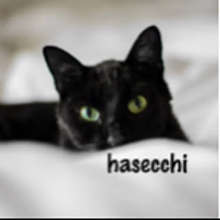 hasecchi