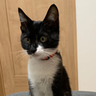Kiki