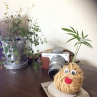 mioto