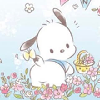 chunchun_h