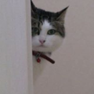 Jun
