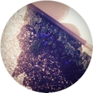 fun_nufun