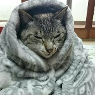 mi-suke