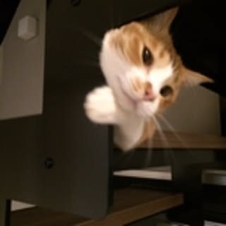 matuko