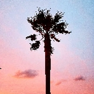 rsk