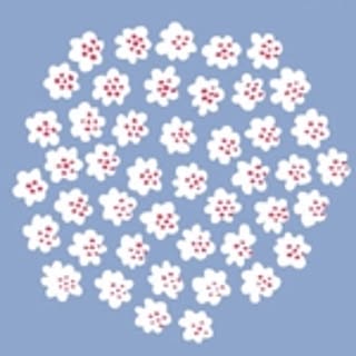 mizukimi
