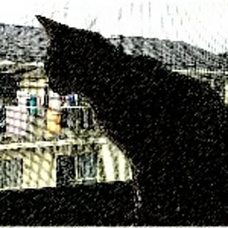 komachan