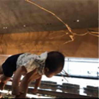 nao_home