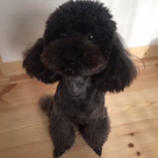 Nori