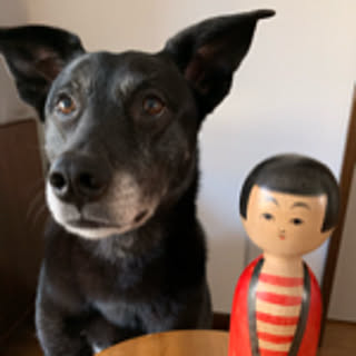 mitukokeshi