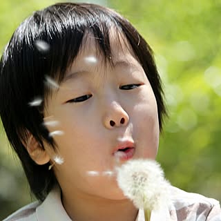 shino.0820