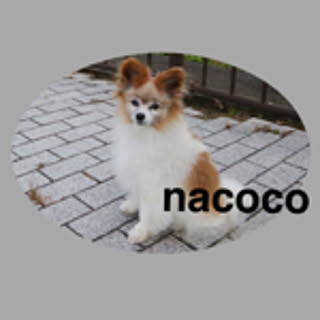 nacoco