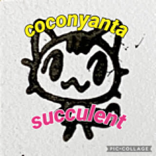 coconyanta