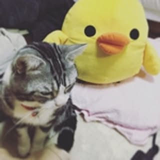 hiromi