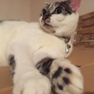 amanda